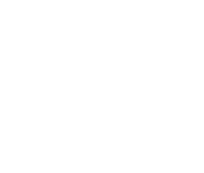 09-arroyo